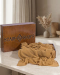 Scarf Shops Chiffon Camel